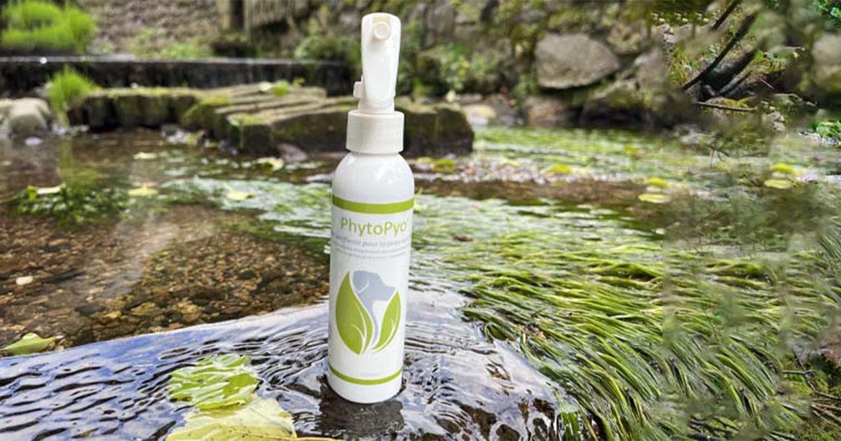 Alphanosos-PhytoPyo-FAQ-mobile PhytoPyo, les questions fréquentes Photo de la lotion PhytoPyo prise sur la rivière
