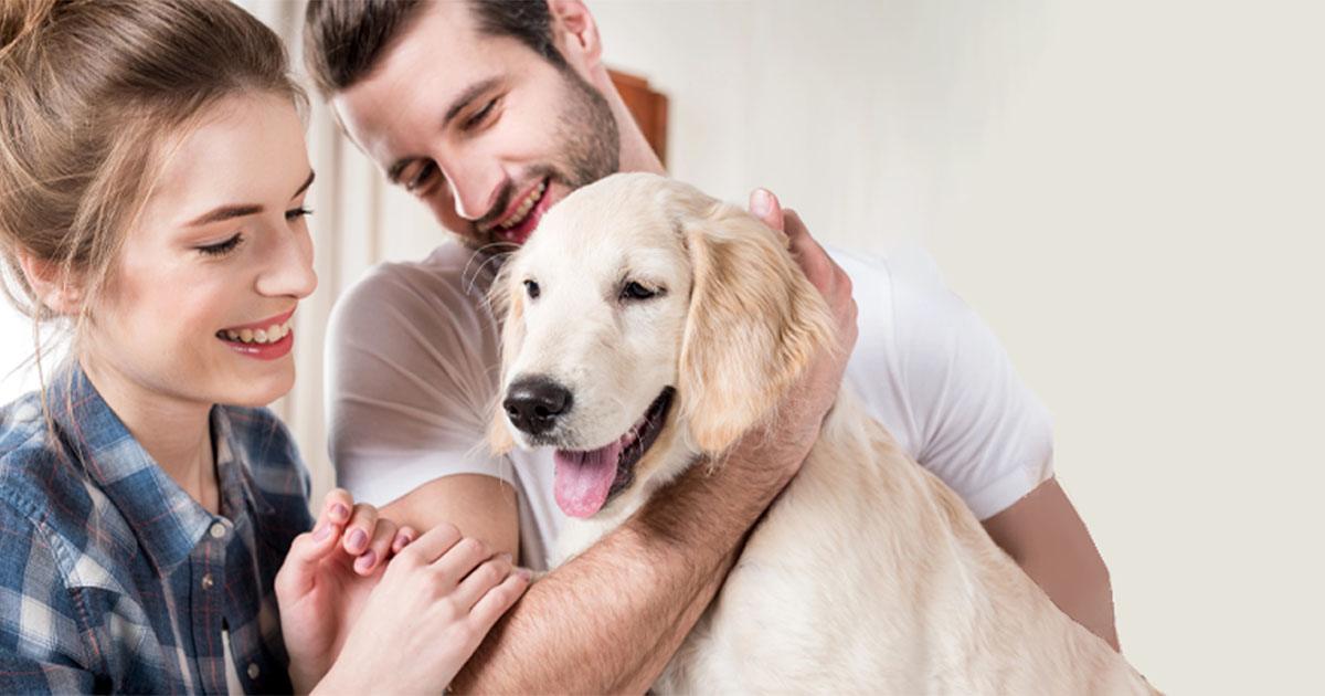Alphanosos-PhytoPyo-avis-clients-mobile Avis client Homme et femme heureux avec leur chien dans les bras