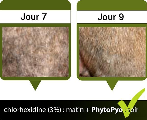 Jour7-Jpur9