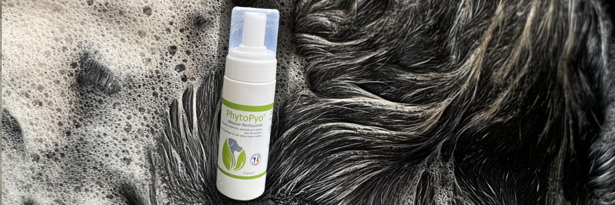 PhytoPyo-Mousse-Nettoyante-Mode-emploi PhytoPyo Mousse Nettoyante - Conditions d'Utilisation Zoom sur un pelage de chien avec de la mousse