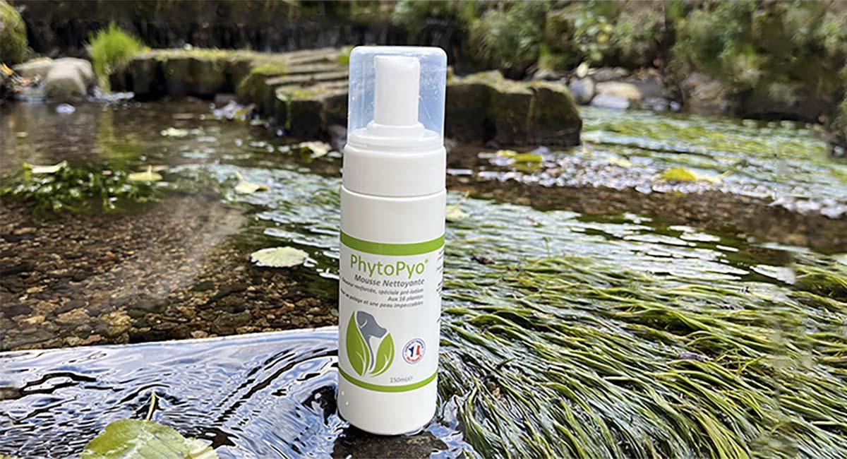 PhytoPyo-Mousse.nettoyante-image-produit-mobile PhytoPyo Mousse nettoyante - FAQ Produit au milieu de la rivière