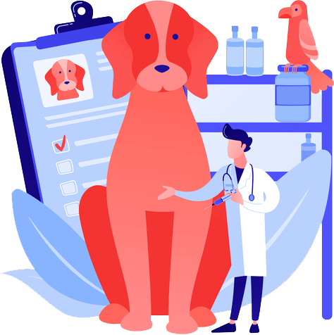 PhytoPyo-chien-malade-veterinaire Illustration chien malade chez vétérinaire
