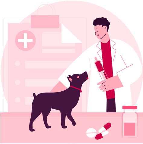 PhytoPyo-chien-traitement-veterinaire Chien en traitement chez un vétérinaire